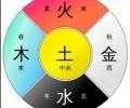 食物和五脏的五行风水相生相克
